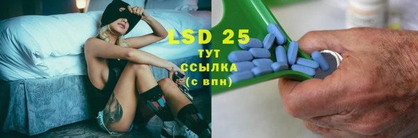 ECSTASY Белокуриха